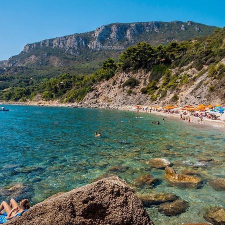 B&B Il Gabbiano Orbetello Eksteriør billede